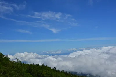 DSC_3611 (Large).JPG